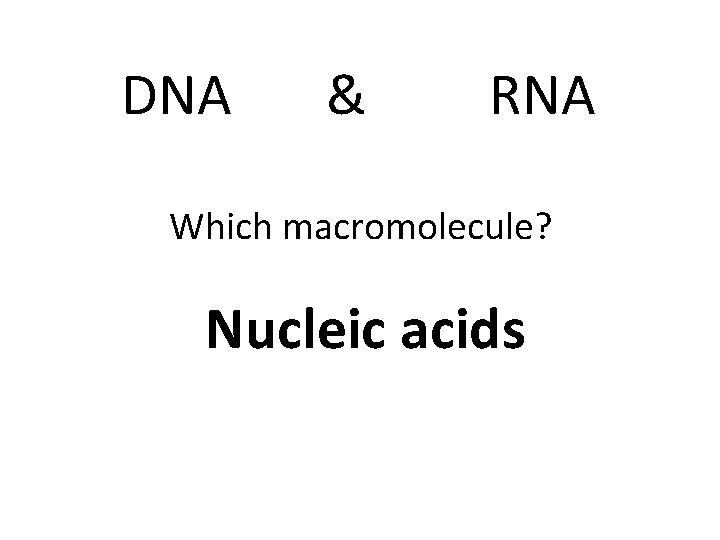 DNA & RNA Which macromolecule? Nucleic acids 