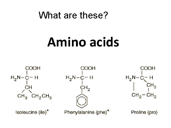 What are these? Amino acids 