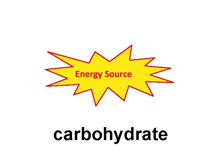 Energy Source carbohydrate 