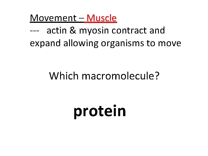 Movement – Muscle --- actin & myosin contract and expand allowing organisms to move