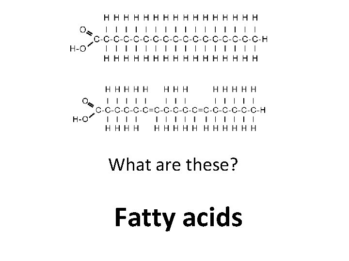 What are these? Fatty acids 