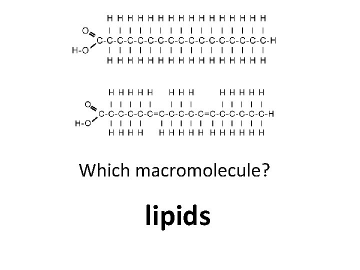 Which macromolecule? lipids 