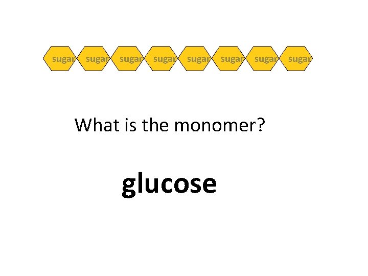 sugar sugar What is the monomer? glucose sugar 