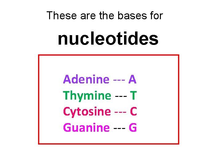 These are the bases for nucleotides Adenine --- A Thymine --- T Cytosine ---