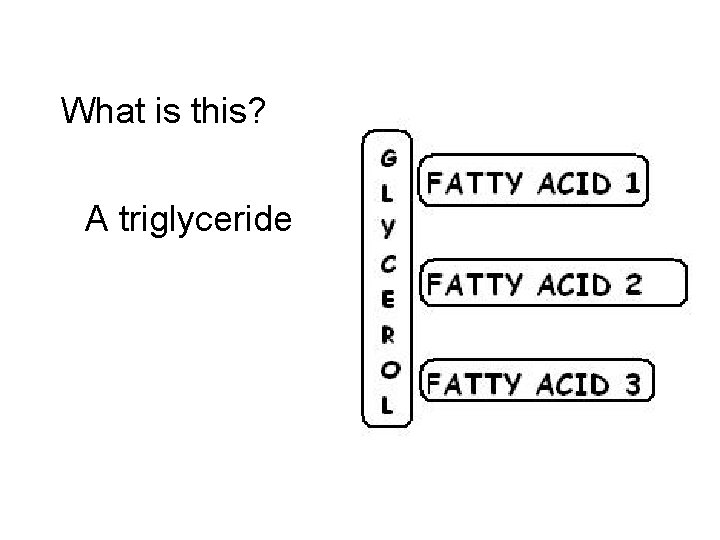 What is this? A triglyceride 