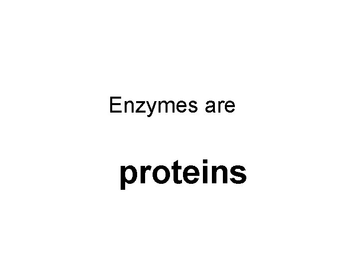 Enzymes are proteins 