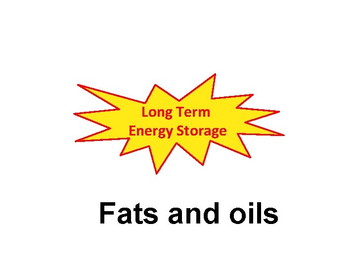 Long Term Energy Storage Fats and oils 