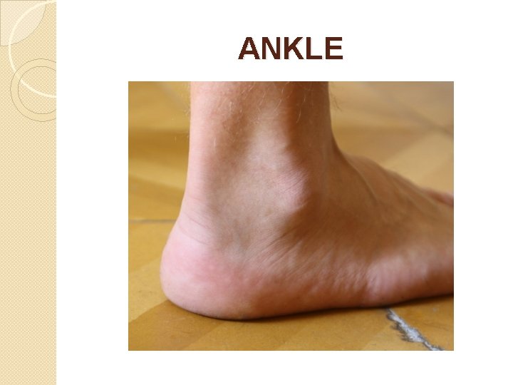 ANKLE 