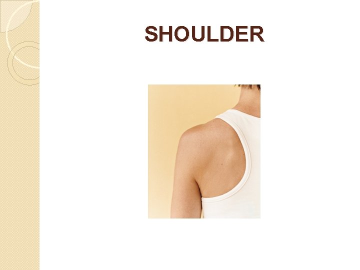 SHOULDER 