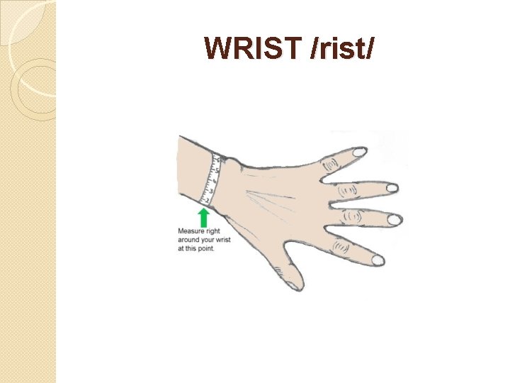 WRIST /rist/ 