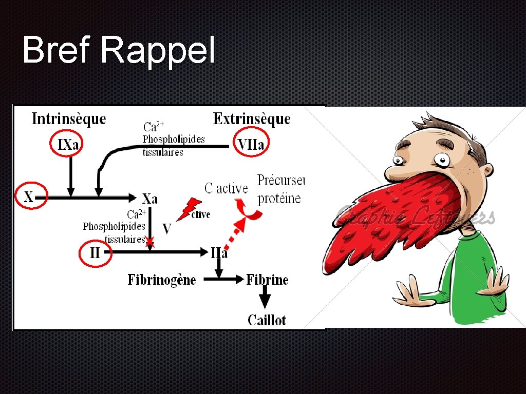 Bref Rappel 