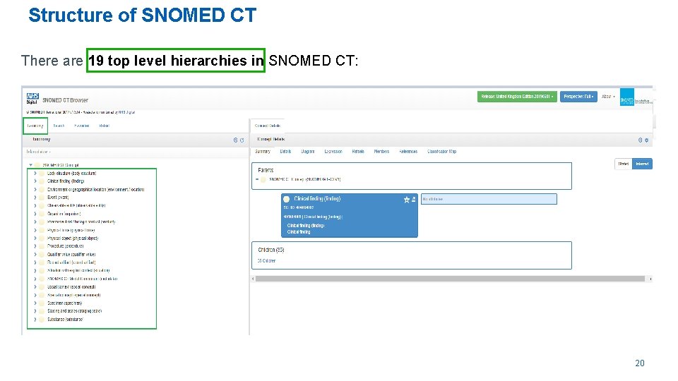Structure of SNOMED CT There are 19 top level hierarchies in SNOMED CT: 20
