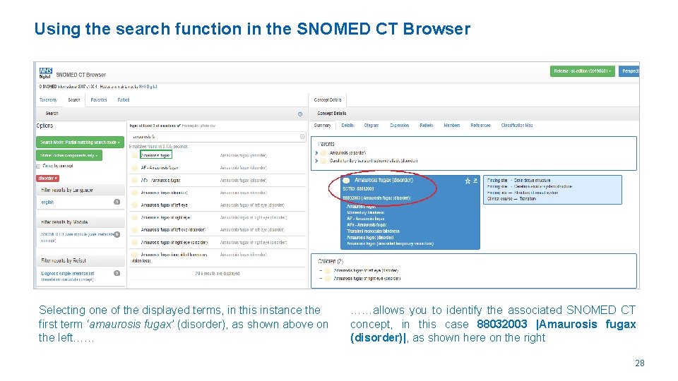 Using the search function in the SNOMED CT Browser Selecting one of the displayed
