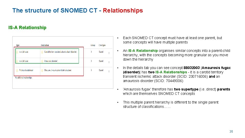 The structure of SNOMED CT - Relationships IS-A Relationship • Each SNOMED CT concept