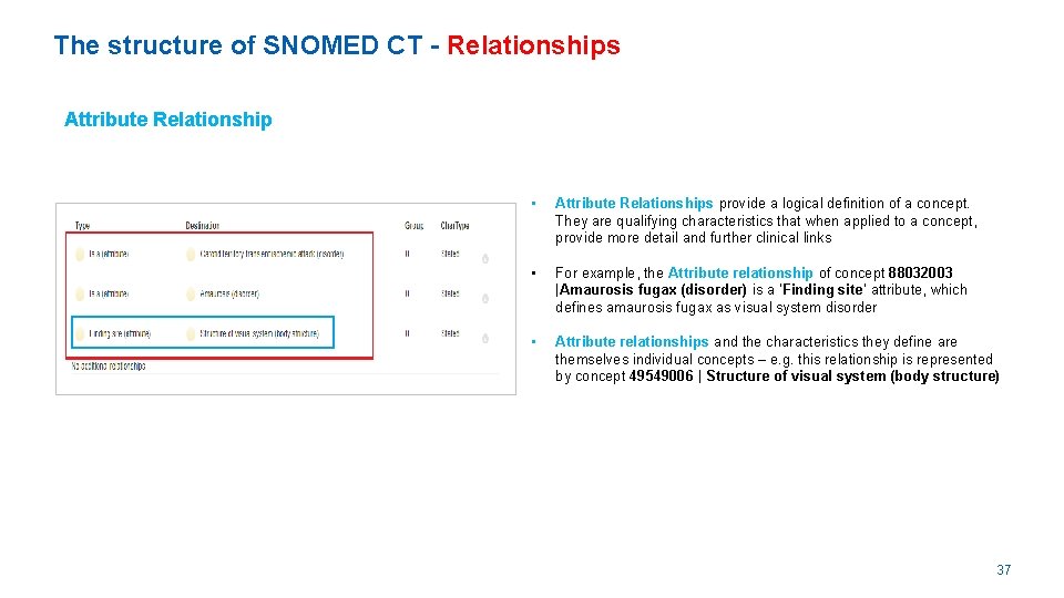 The structure of SNOMED CT - Relationships Attribute Relationship • Attribute Relationships provide a