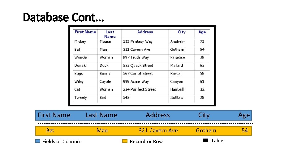Database Cont. . . First Name Last Name Address City Age --------------------------------------------------------- Bat Man