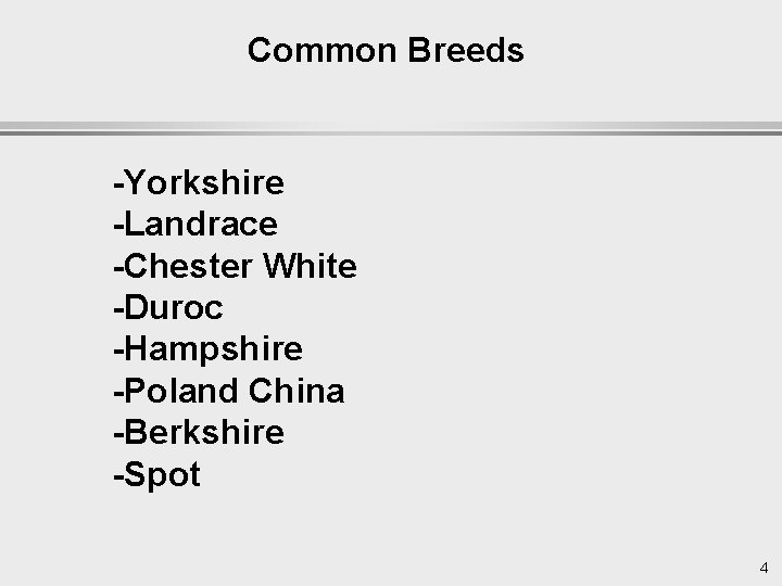 Common Breeds -Yorkshire -Landrace -Chester White -Duroc -Hampshire -Poland China -Berkshire -Spot 4 