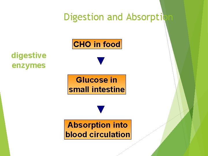 Digestion and Absorption CHO in food digestive enzymes Glucose in small intestine Absorption into