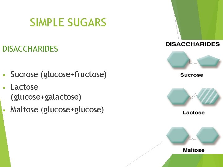 SIMPLE SUGARS DISACCHARIDES • Sucrose (glucose+fructose) • Lactose (glucose+galactose) • Maltose (glucose+glucose) 