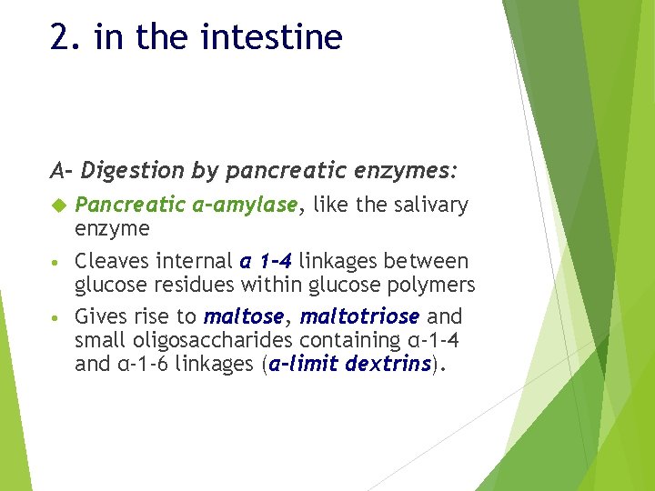 2. in the intestine A- Digestion by pancreatic enzymes: Pancreatic α-amylase, like the salivary