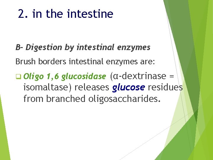 Digestion and Absorption The Human Body From Food