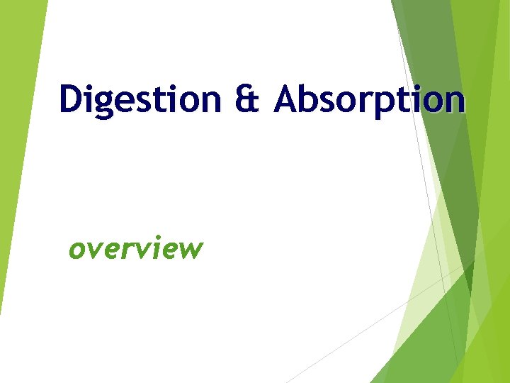 Digestion & Absorption overview 