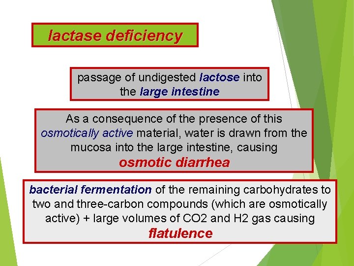 lactase deficiency passage of undigested lactose into the large intestine As a consequence of