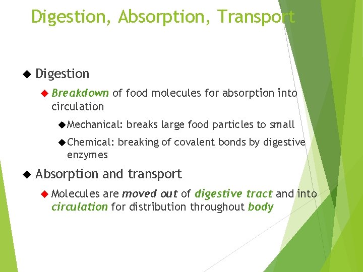 Digestion, Absorption, Transport Digestion Breakdown of food molecules for absorption into circulation Mechanical: Chemical: