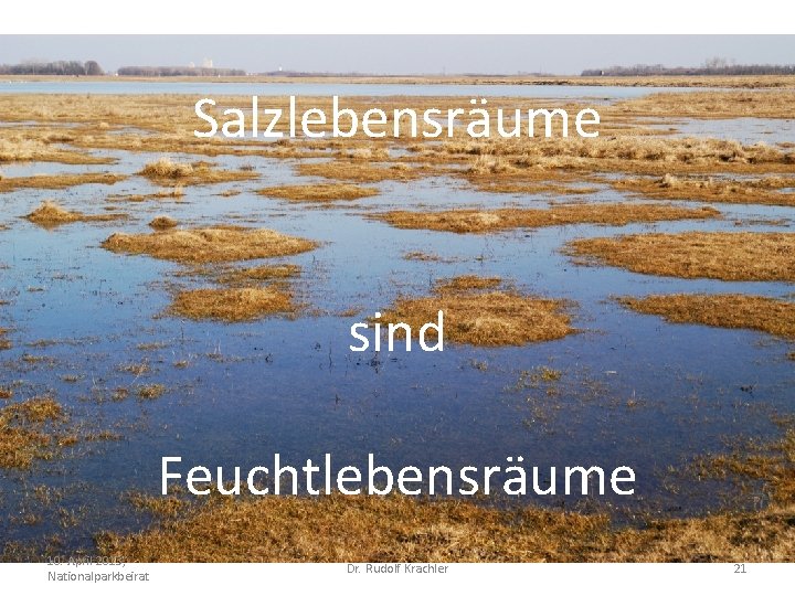 Salzlebensräume sind Feuchtlebensräume 10. April 2013, Nationalparkbeirat Dr. Rudolf Krachler 21 