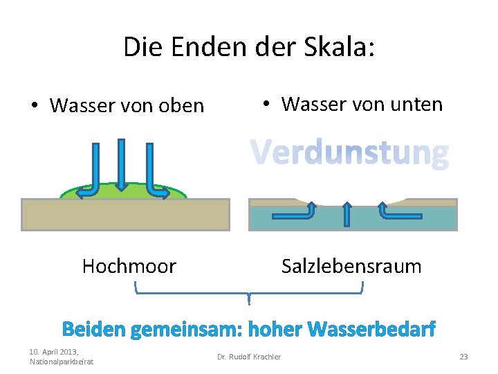 Die Enden der Skala: • Wasser von oben • Wasser von unten Hochmoor Salzlebensraum