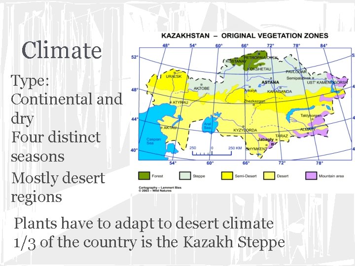 Climate Type: Continental and dry Four distinct seasons Mostly desert regions Plants have to