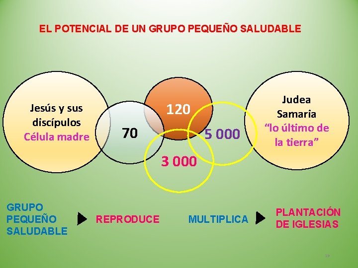 EL POTENCIAL DE UN GRUPO PEQUEÑO SALUDABLE Jesús y sus discípulos Célula madre 120