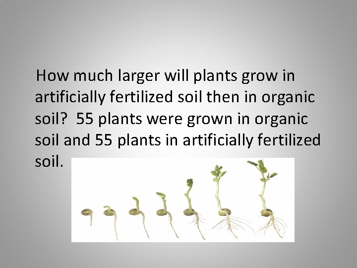 How much larger will plants grow in artificially fertilized soil then in organic soil?