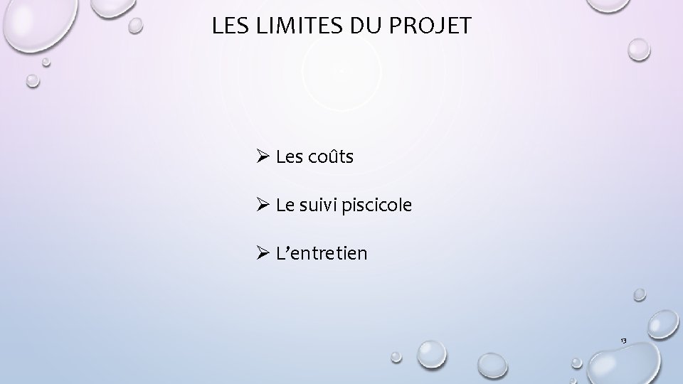 LES LIMITES DU PROJET Ø Les coûts Ø Le suivi piscicole Ø L’entretien 13