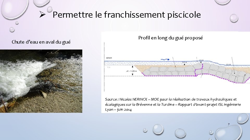 Ø Permettre le franchissement piscicole Chute d’eau en aval du gué Profil en long