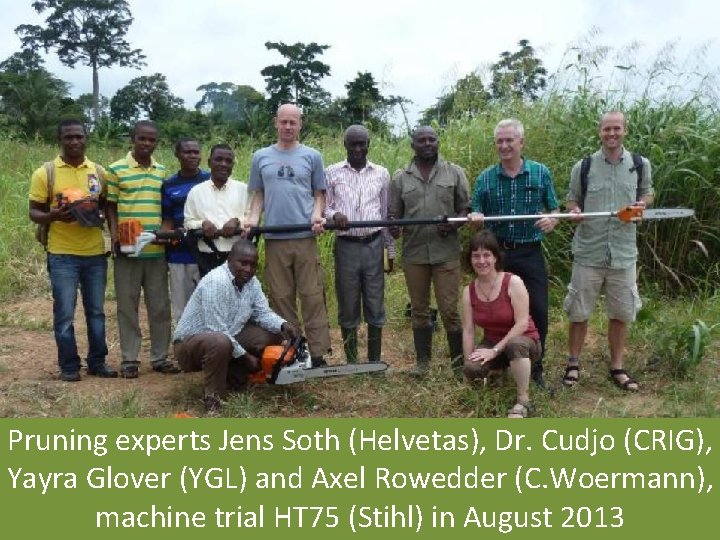 Pruning experts Jens Soth (Helvetas), Dr. Cudjo (CRIG), Yayra Glover (YGL) and Axel Rowedder