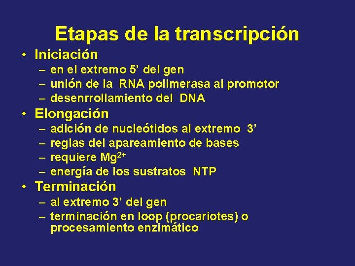 Etapas de la transcripción • Iniciación – en el extremo 5’ del gen –