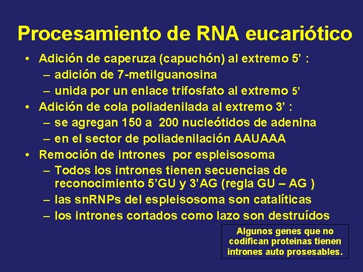 Procesamiento de RNA eucariótico • Adición de caperuza (capuchón) al extremo 5’ : –