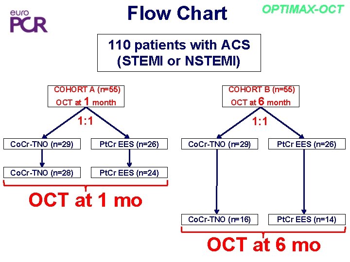 Flow Chart OPTIMAX-OCT 110 patients with ACS (STEMI or NSTEMI) COHORT A (n=55) COHORT