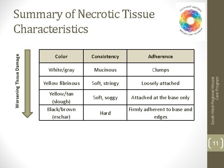 Color Consistency Adherence White/gray Mucinous Clumps Yellow fibrinous Soft, stringy Loosely attached Soft, soggy