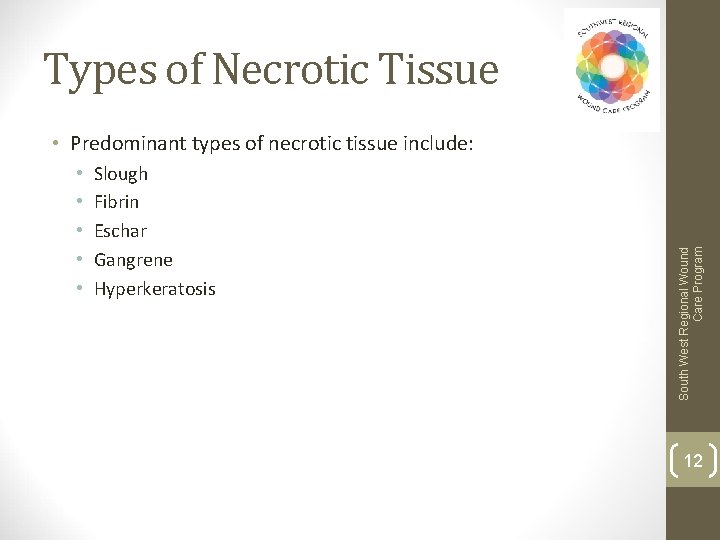 Types of Necrotic Tissue • • • Slough Fibrin Eschar Gangrene Hyperkeratosis South West