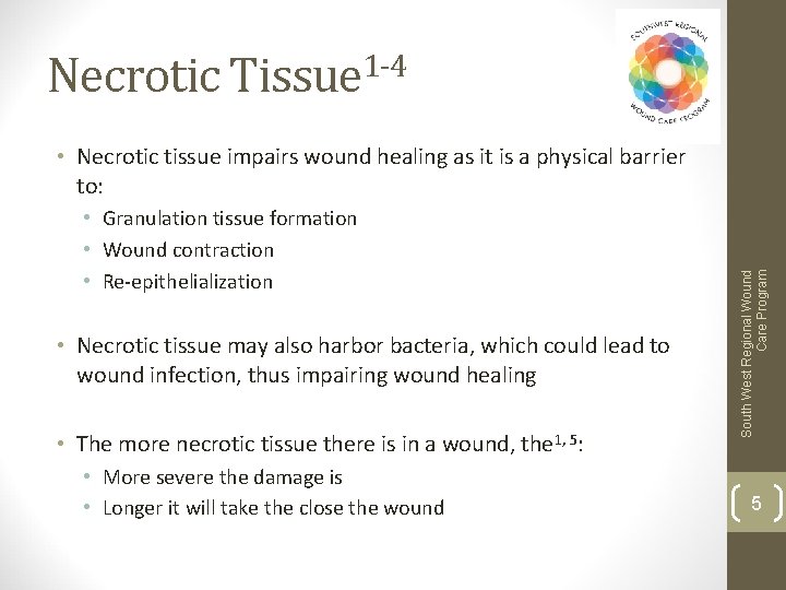 Necrotic Tissue 1 -4 • Granulation tissue formation • Wound contraction • Re-epithelialization •