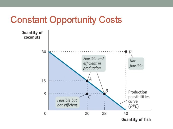 Constant Opportunity Costs 
