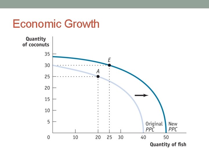 Economic Growth 