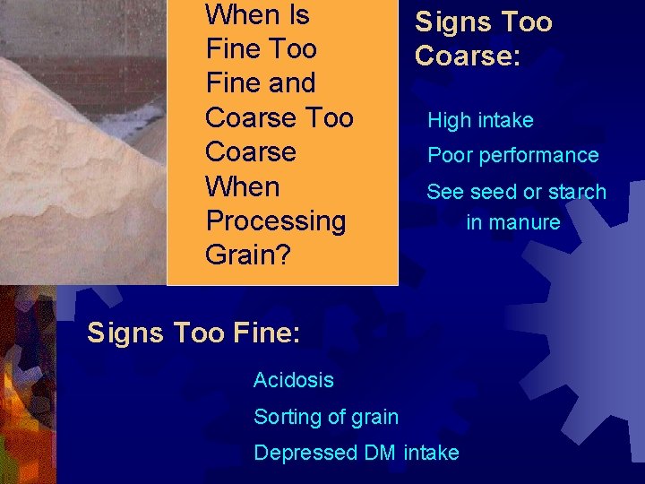 When Is Fine Too Fine and Coarse Too Coarse When Processing Grain? Signs Too When Is Fine Too Fine and Coarse Too Coarse When Processing Grain? Signs Too