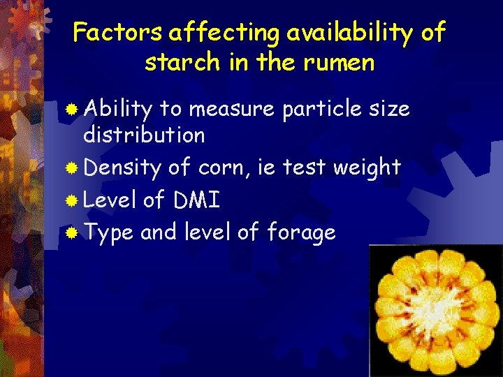 Factors affecting availability of starch in the rumen ® Ability to measure particle size