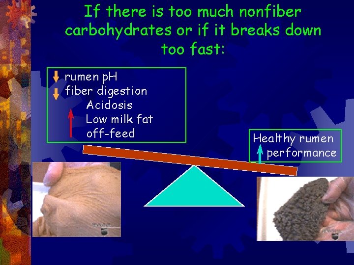 If there is too much nonfiber carbohydrates or if it breaks down too fast: