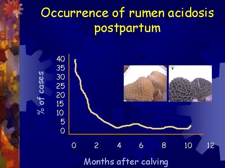 % of cases Occurrence of rumen acidosis postpartum 40 35 30 25 20 15 % of cases Occurrence of rumen acidosis postpartum 40 35 30 25 20 15