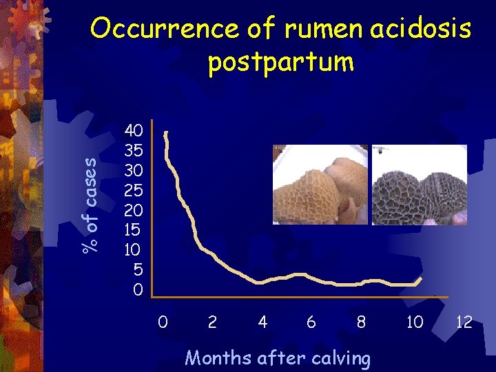 % of cases Occurrence of rumen acidosis postpartum 40 35 30 25 20 15