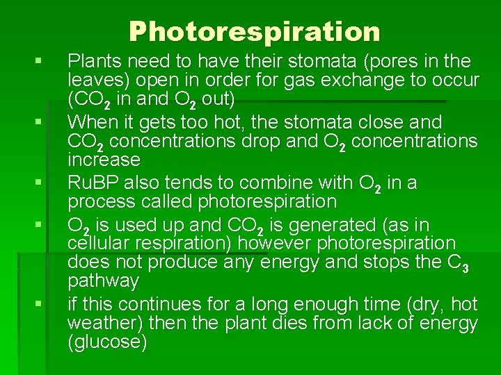 § § § Photorespiration Plants need to have their stomata (pores in the leaves)